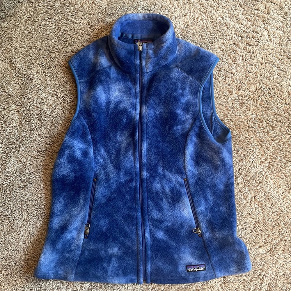 Patagonia Synchilla Fleece Vest
